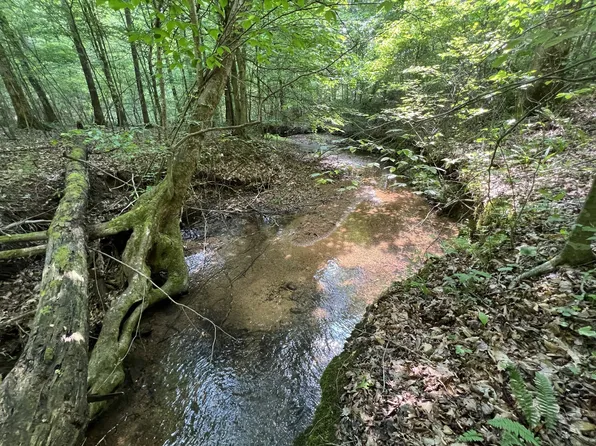 0 Morgan Branch Rd, Centerville, TN 37033