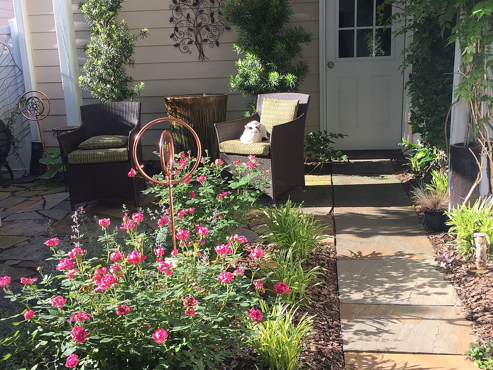 Patio Paradise