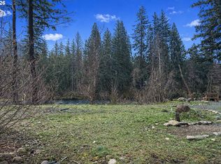 54480 McKenzie River Dr, Blue River, OR 97413