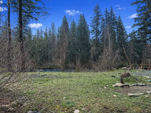 54480 McKenzie River Dr, Blue River, OR 97413