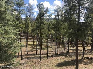 W Eric Ln, Alpine, AZ 85920