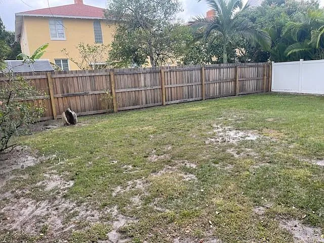 Shared Back yard