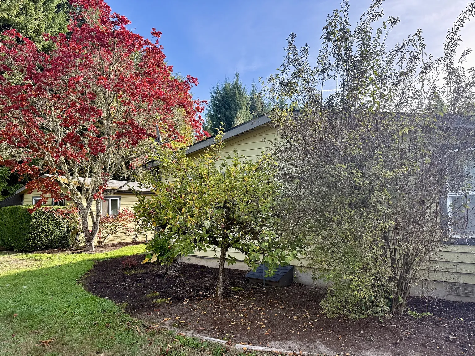 3 bed, 1500 sqft, $2,600 — Photo 2