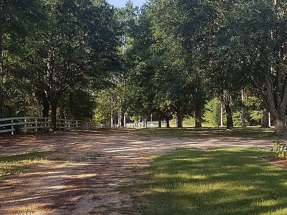 tree lined drive 