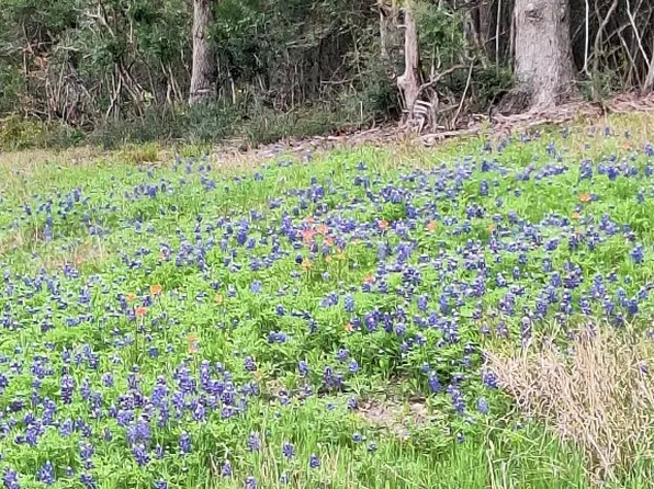 Fm 3371 Fm Path #3371, Thornton, TX 76687