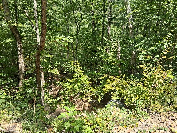 2nd image of 95-96 Three Rivers #95-96