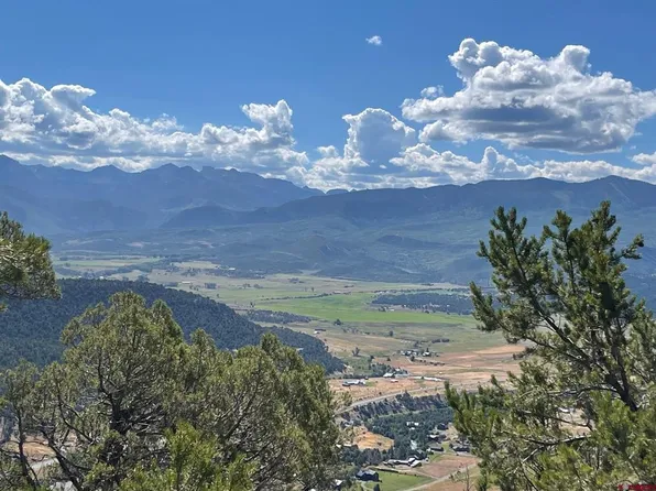 TBD Pine Drive, Ridgway, CO 81432