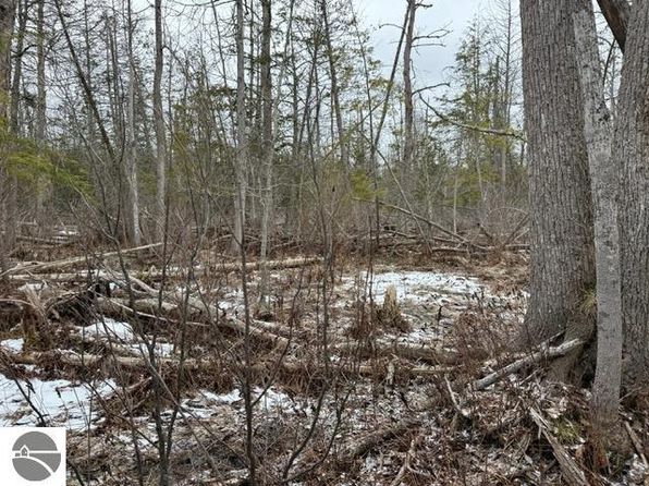 0 N Pioneer Rd, Honor, MI 49640