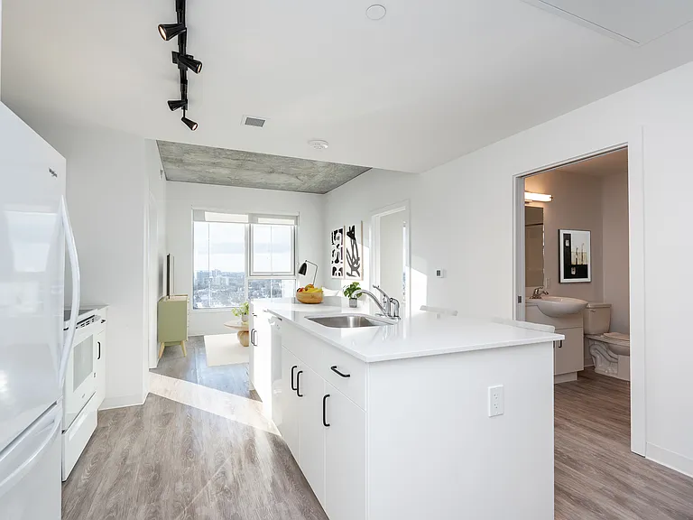 308 Colony St — Photo 37