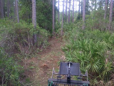 239 Lakeway Dr, Cresent City, FL, 32139