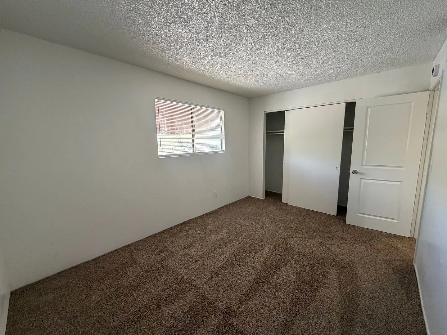 Alvernon2950-10103 — Photo 4