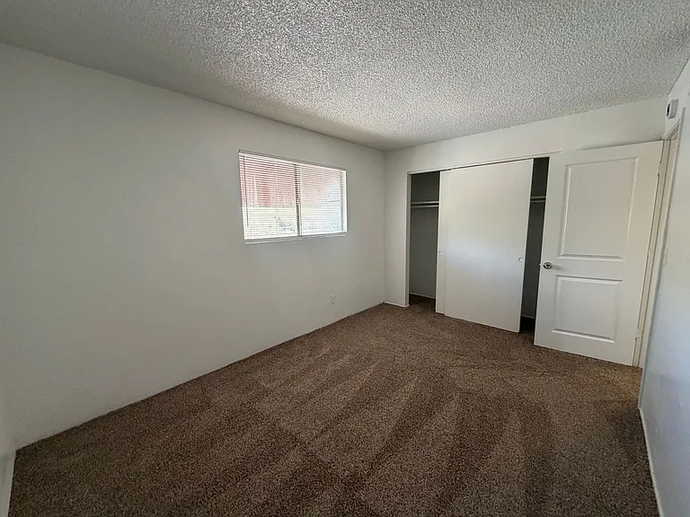 2950 N Alvernon Way #10103 — Photo 4