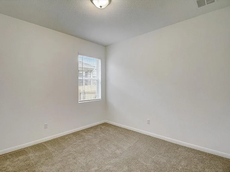 117 Lacey Oak Loop — Photo 29