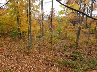 3382 Marsh Rd, Kingsley, MI 49649