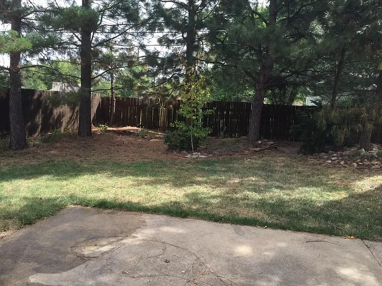 back yard