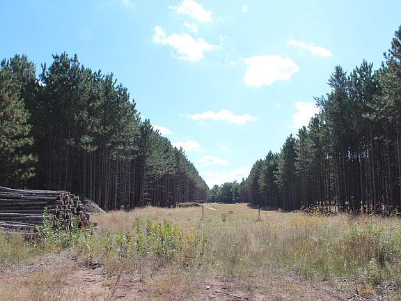 2nd image of Hay Creek Rd