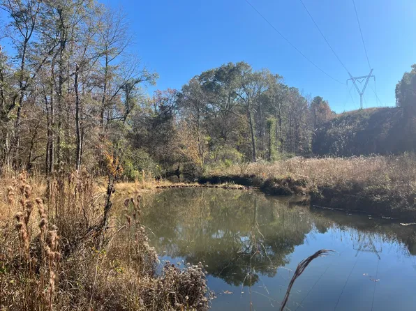 0 County Road 441, Wilsonville, AL 35186