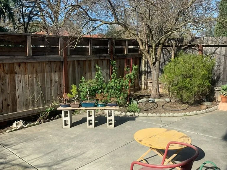 1025 Trinita Ter — Photo 11