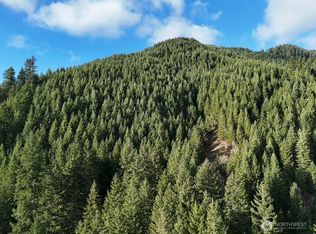 1951 Bear Creek Road, Carson, WA 98610