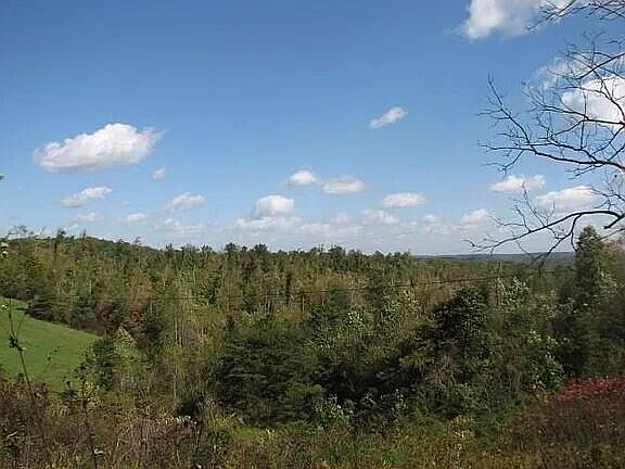 3rd image of 1 Rock Branch Rd