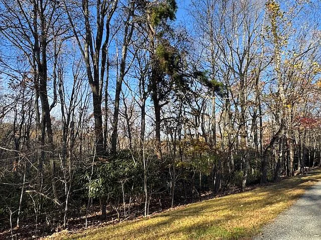Crooked White Oak Trl photo 1