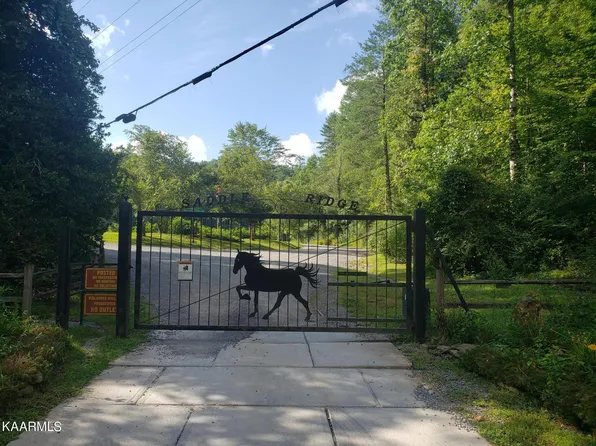 LOT 5 Walnut Flats Rd, Walland, TN 37886