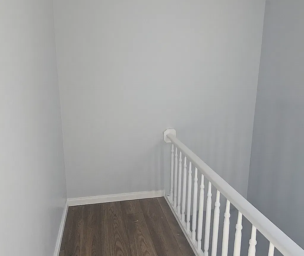 3 bed, 800 sqft, $2,300 — Photo 1