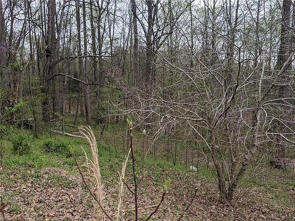 4th image of 135 Hastings Hill Rd