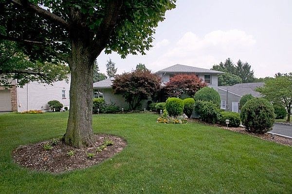 Front yard