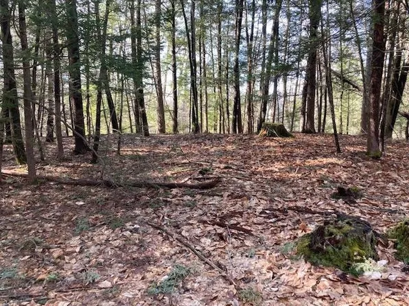 0 Back Canaan Road, Strafford, NH 03884