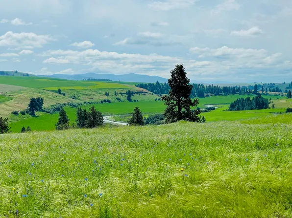 11900 E Hays Rd Lot A, Spangle, WA 99031