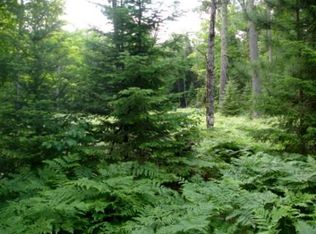 1 Yukon Trl, Conover, WI 54519