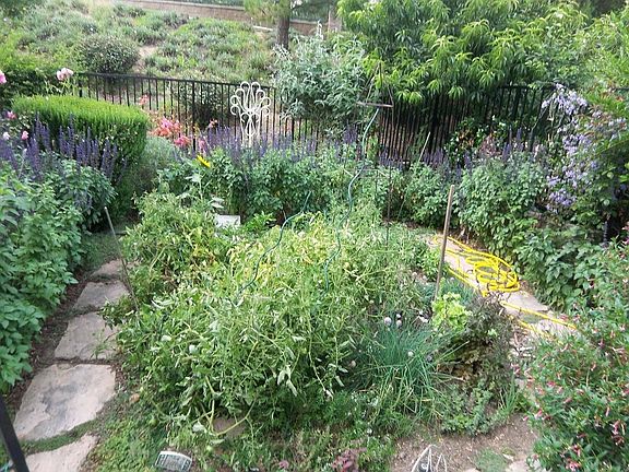 Vegetable Garden