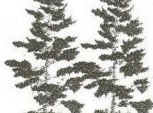 LOT 99 Castlewood Dr, Smiths Creek, MI 48074