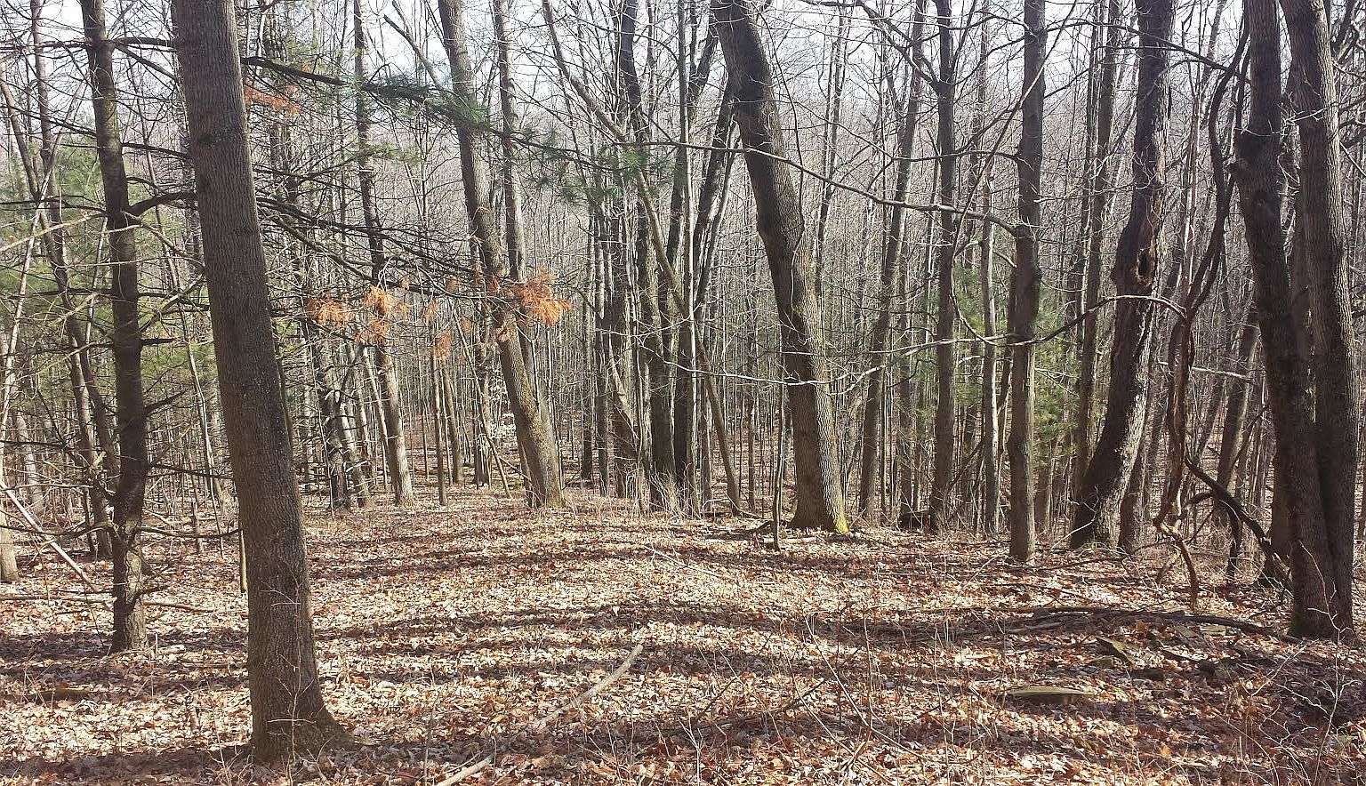 115 Acres For Sale, Sayre, PA 18810 Zillow