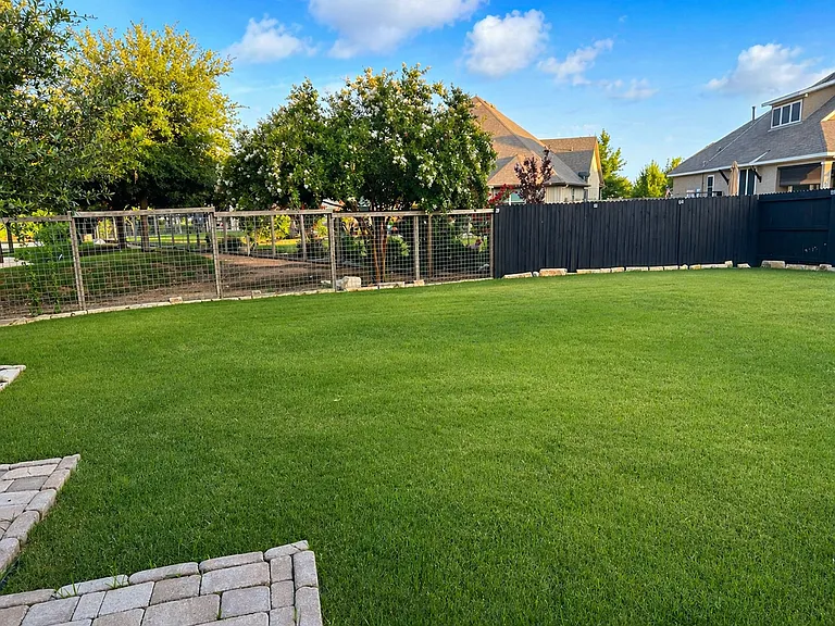 Backyard with view of the park