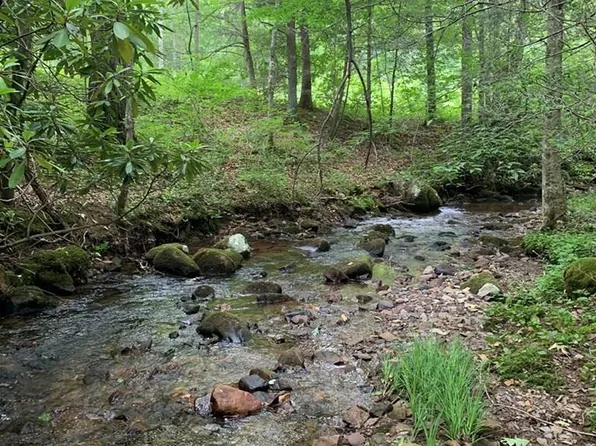 N Fork Ln, Ashland, VA 23005