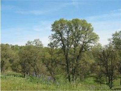 361 Hawkridge Rd, Copperopolis, CA, 95228