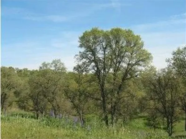 361 Hawkridge Rd, Copperopolis, CA 95228