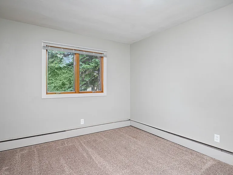 Bright and inviting empty room with neutral walls and cozy carpeting, featuring a large window offering a refreshing view of lush greenery. Bright and inviting empty room with neutral walls and cozy carpeting, featuring a large window offering a refreshin
