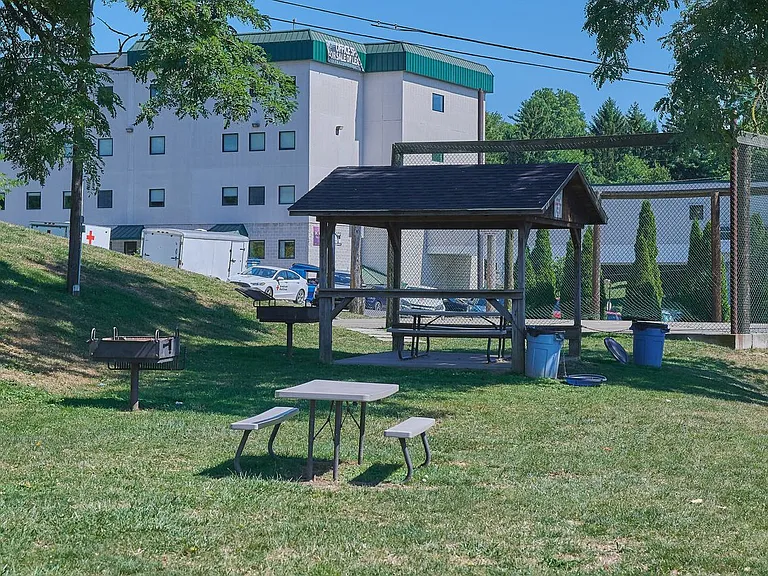 Pineview Apartments — Photo 35