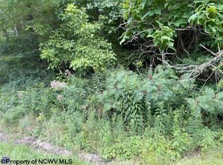 Route 33 Old Route Hwy #33, Elkins, WV 26241