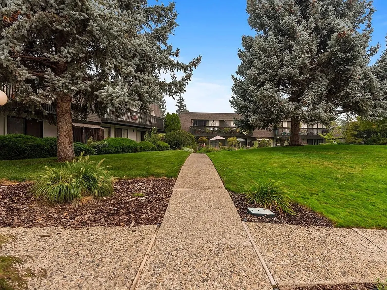 Pacific Village — Photo 3