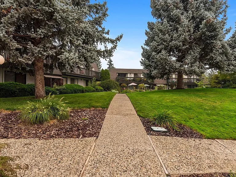 Pacific Village — Photo 3