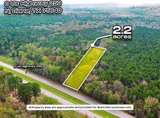 0 Us Highway 259 N, Diana, TX 75640