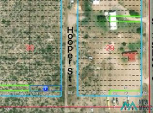 18 Hooper St, Lovington, NM 88260