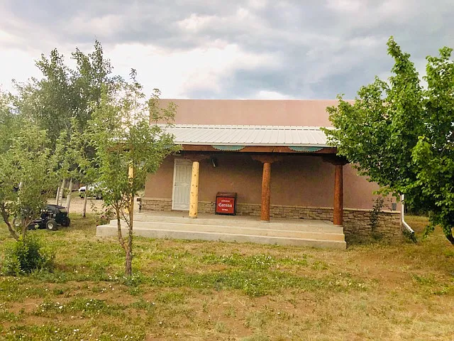 back yard