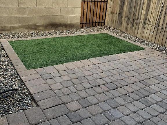Back Patio