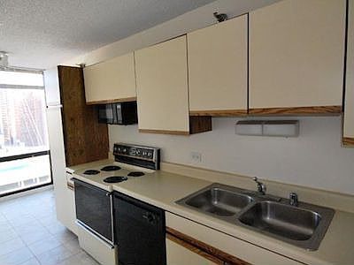 5th image of 1120 N Lasalle St APT 16R