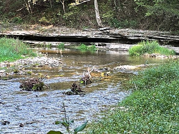 5th image of 24530 & 24540 Coon Hollow Rd